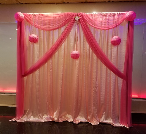 Beautiful Pink Backdrop Raji Creations